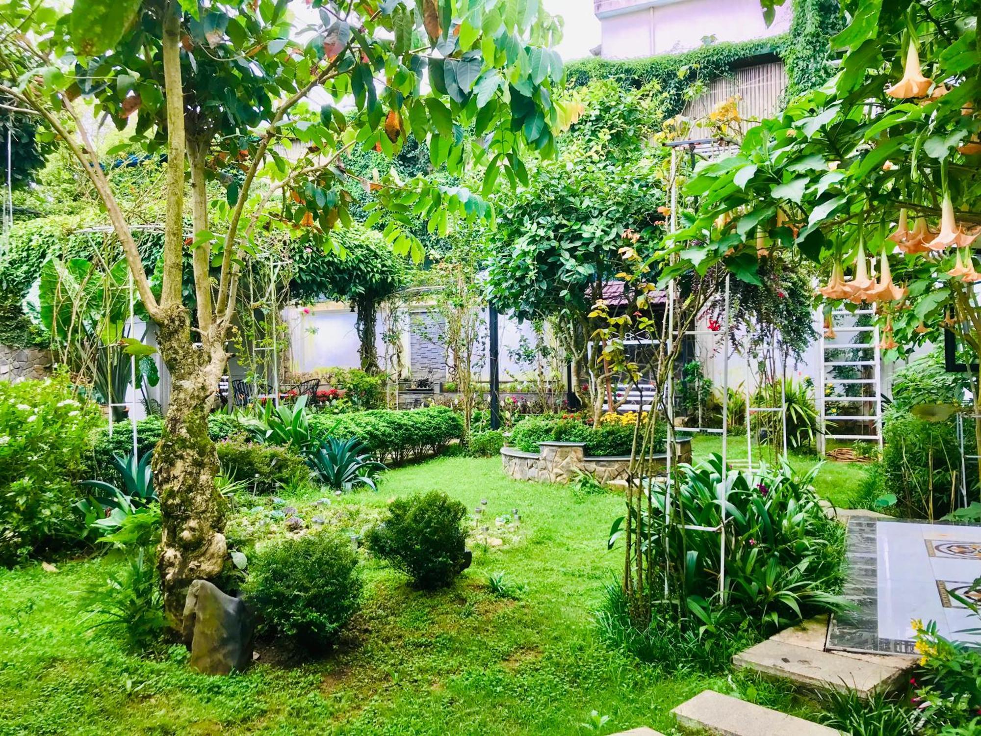 באו לוק Hotel Hoa NáNg מראה חיצוני תמונה